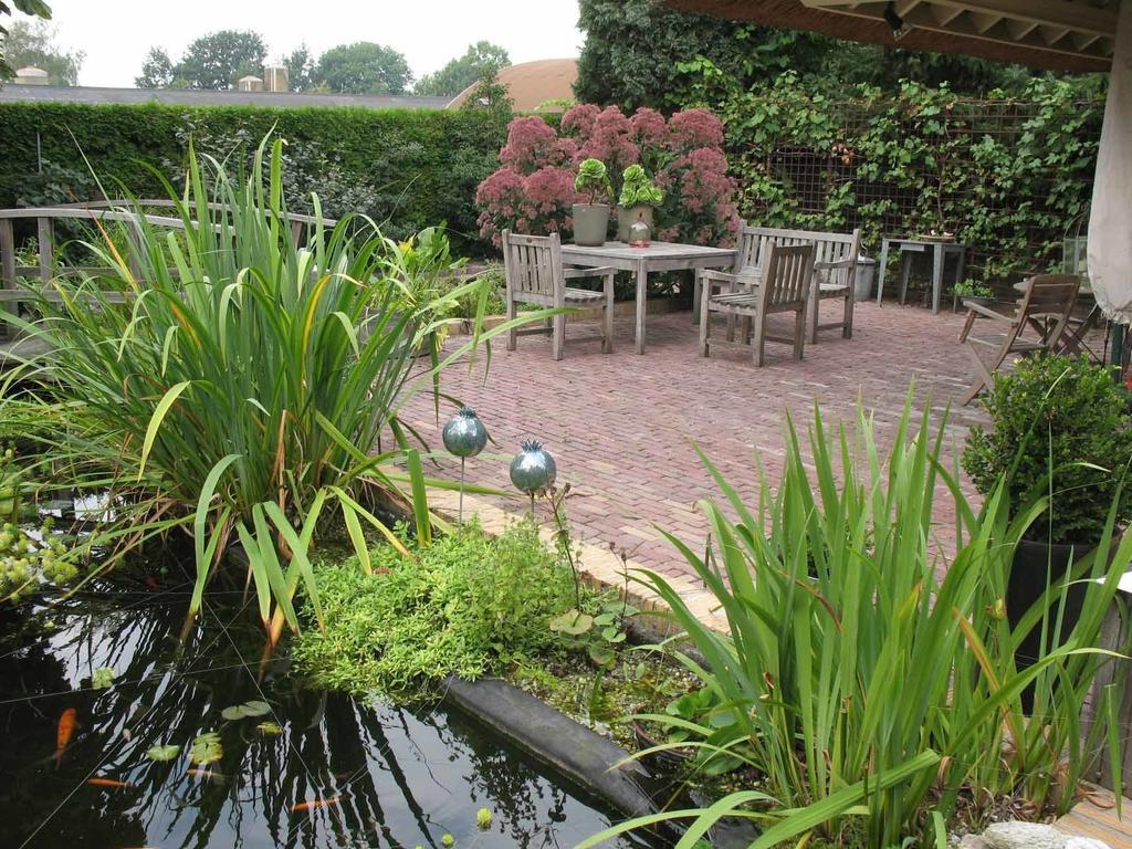 Bed and Breakfast Altijd Zon Осс Номер фото